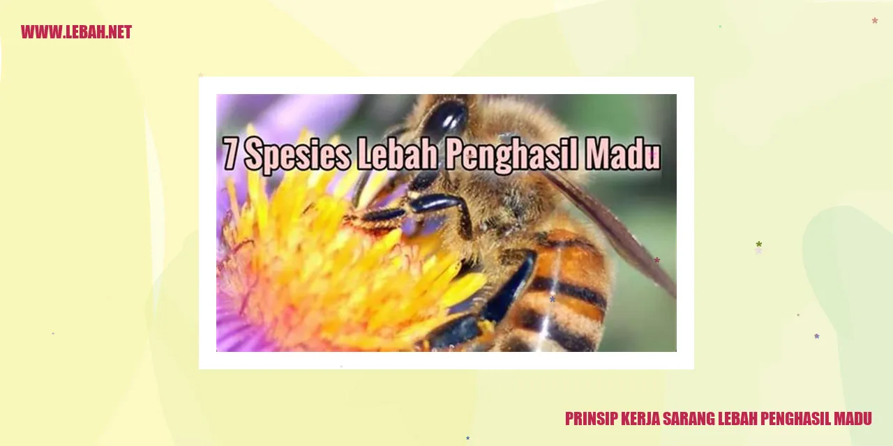 Sarang Lebah Penghasil Madu