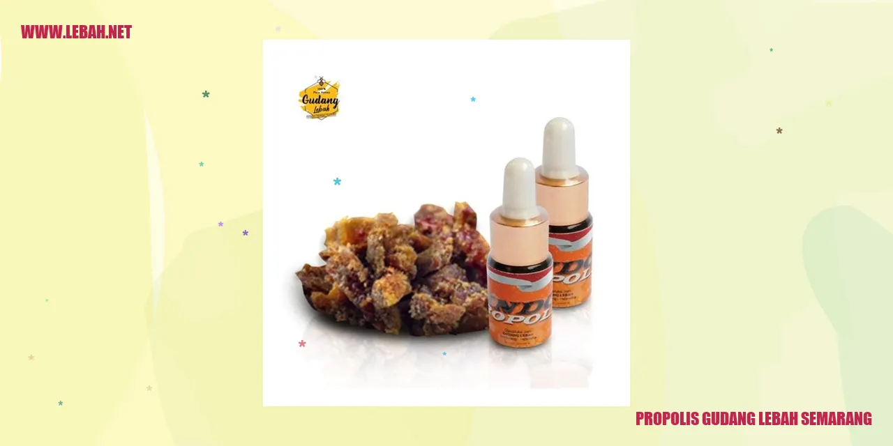 Propolis Gudang Lebah Semarang