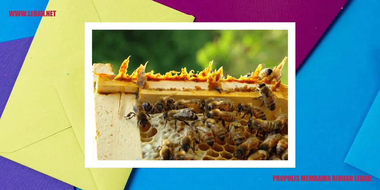 Lebah Menghasilkan Propolis