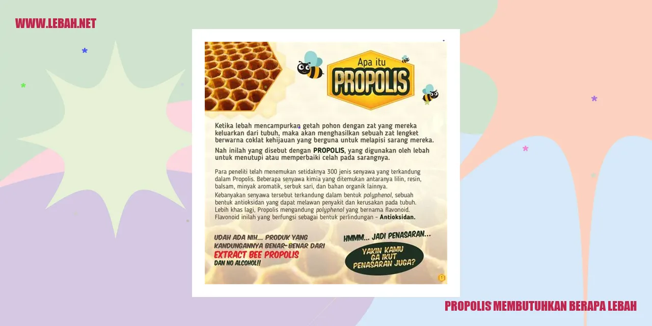 Propolis Membutuhkan Berapa Lebah