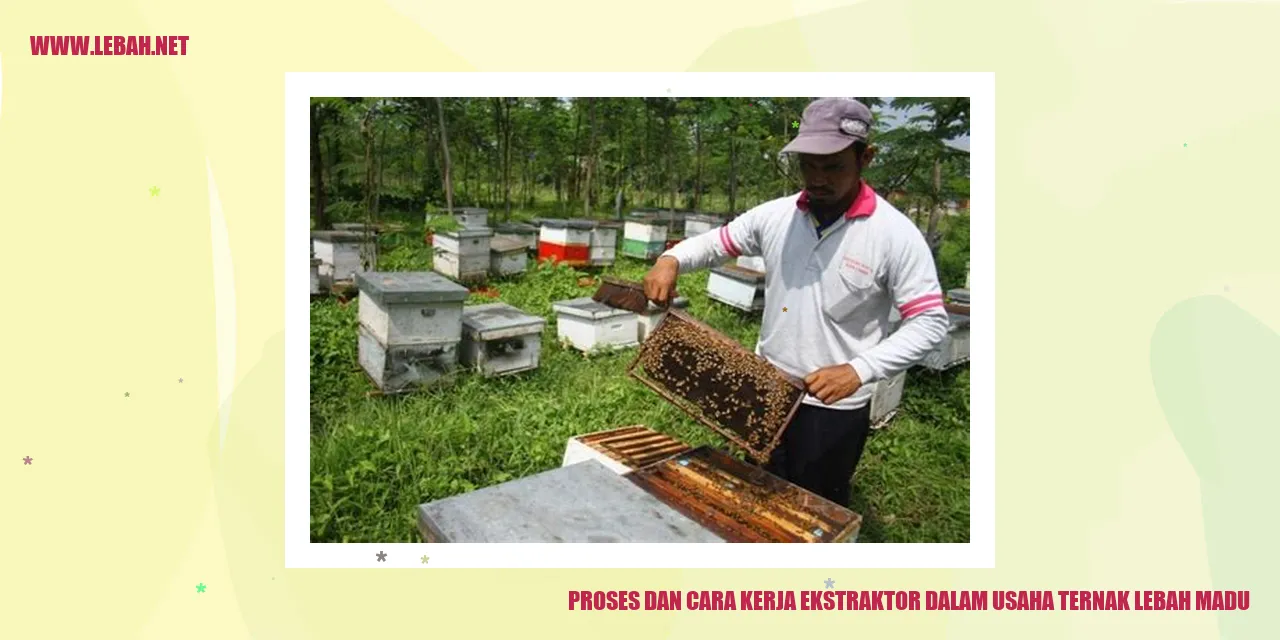 Ekstraktor Lebah Madu