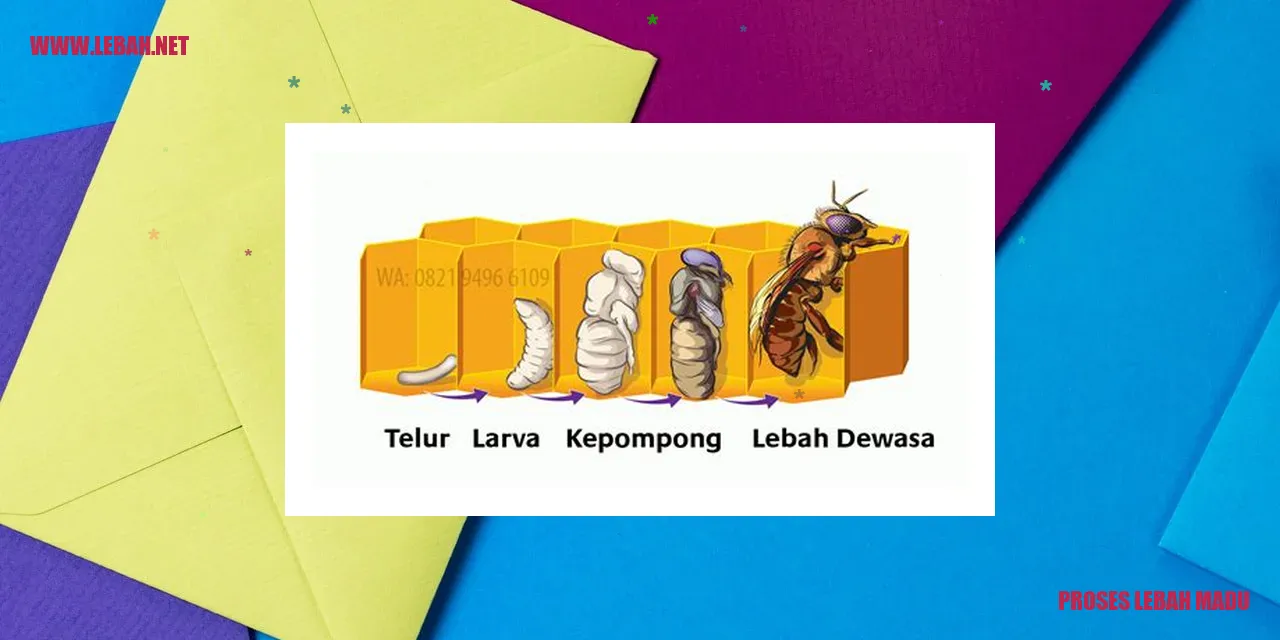 Proses Lebah Madu