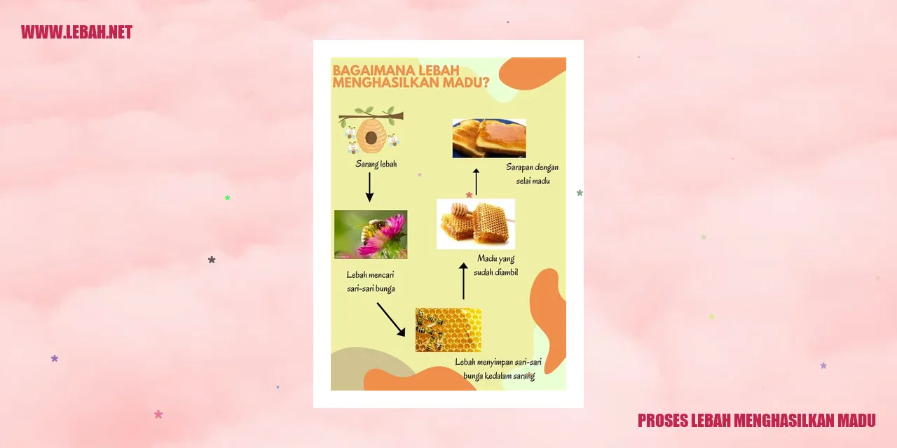 Proses lebah menghasilkan madu