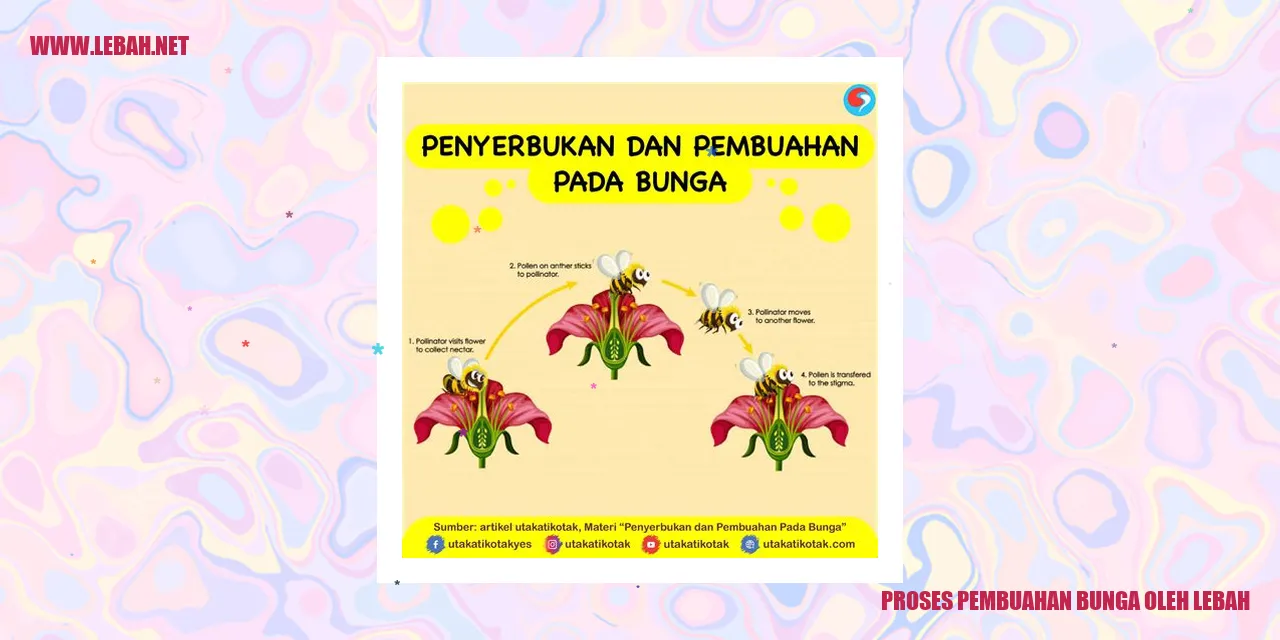 proses pembuahan bunga oleh lebah