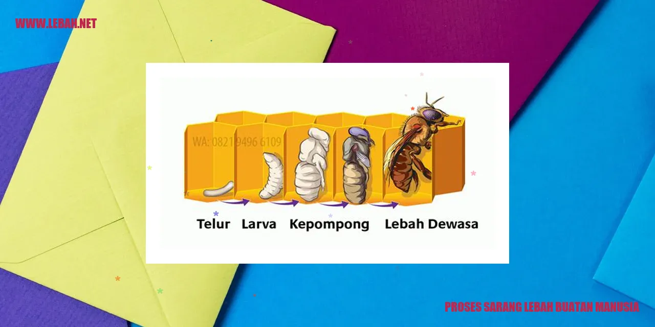 Proses Sarang Lebah Buatan Manusia