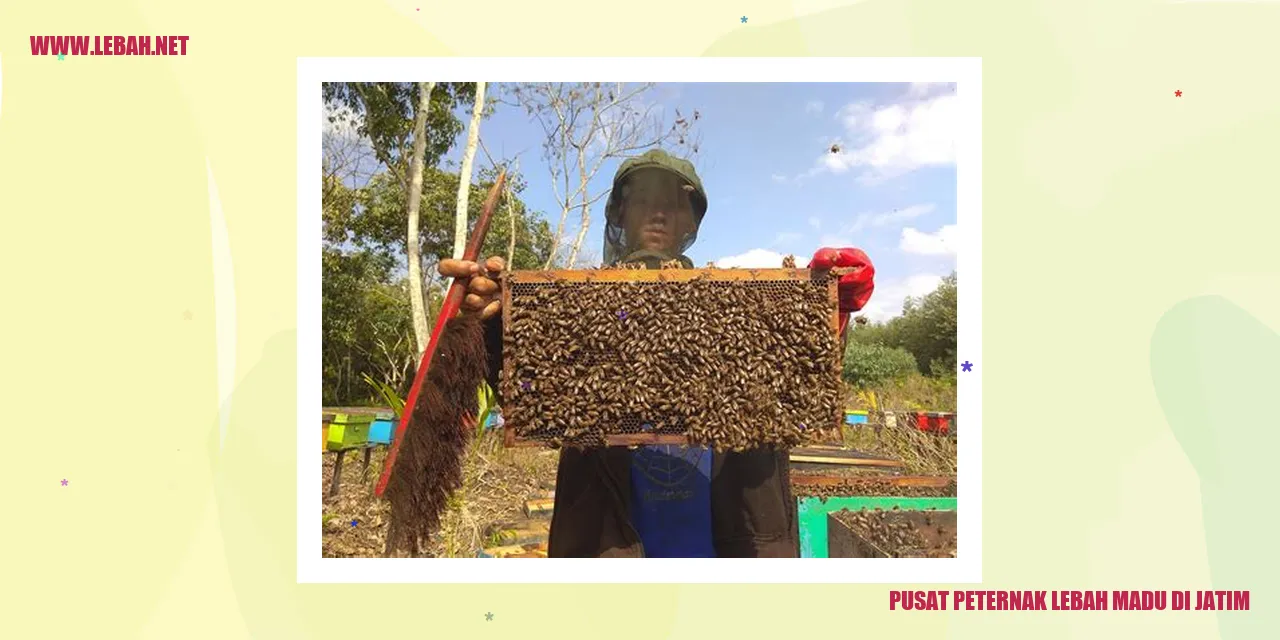 pusat peternak lebah madu di jatim