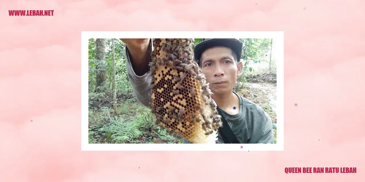 queen bee ran ratu lebah