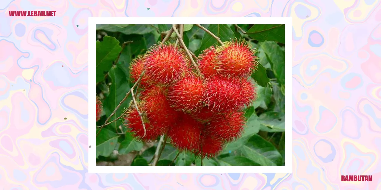 rambutan