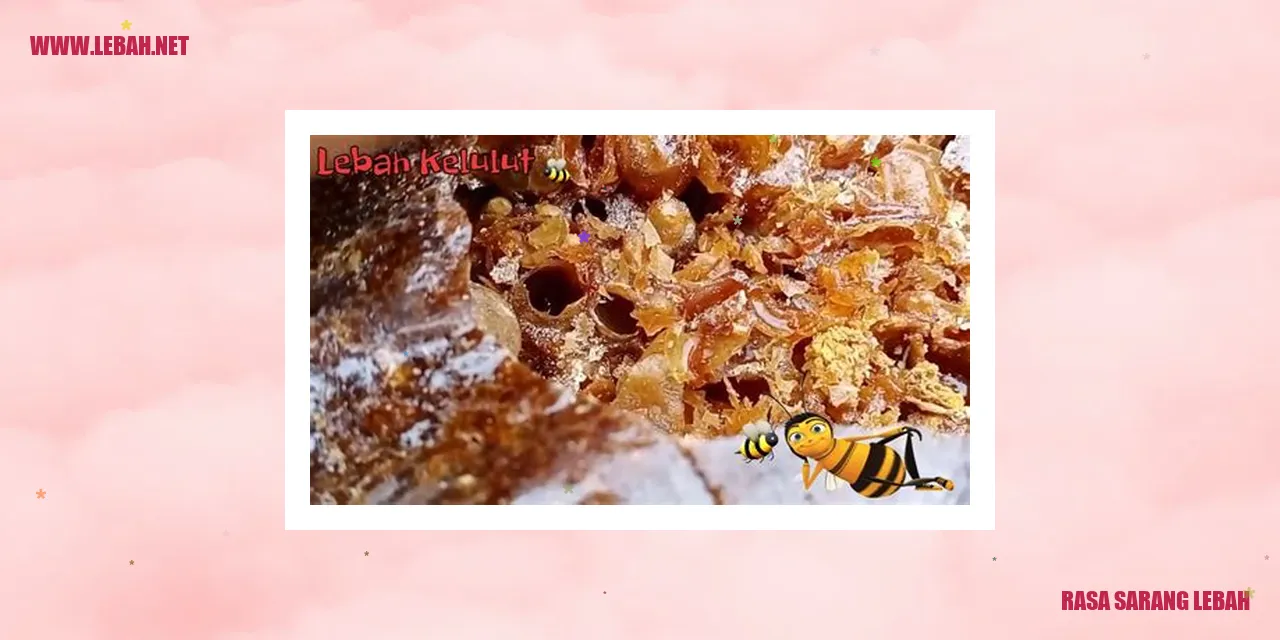 Gambar Sarang Lebah