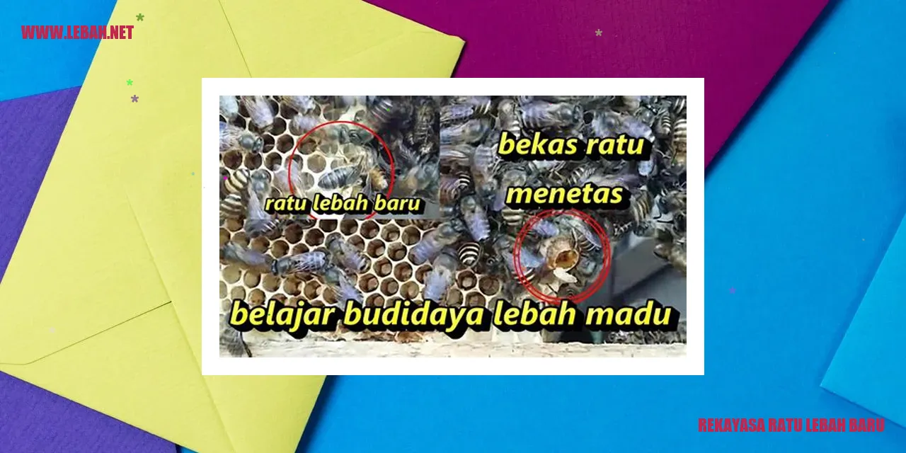 Rekayasa Ratu Lebah Baru
