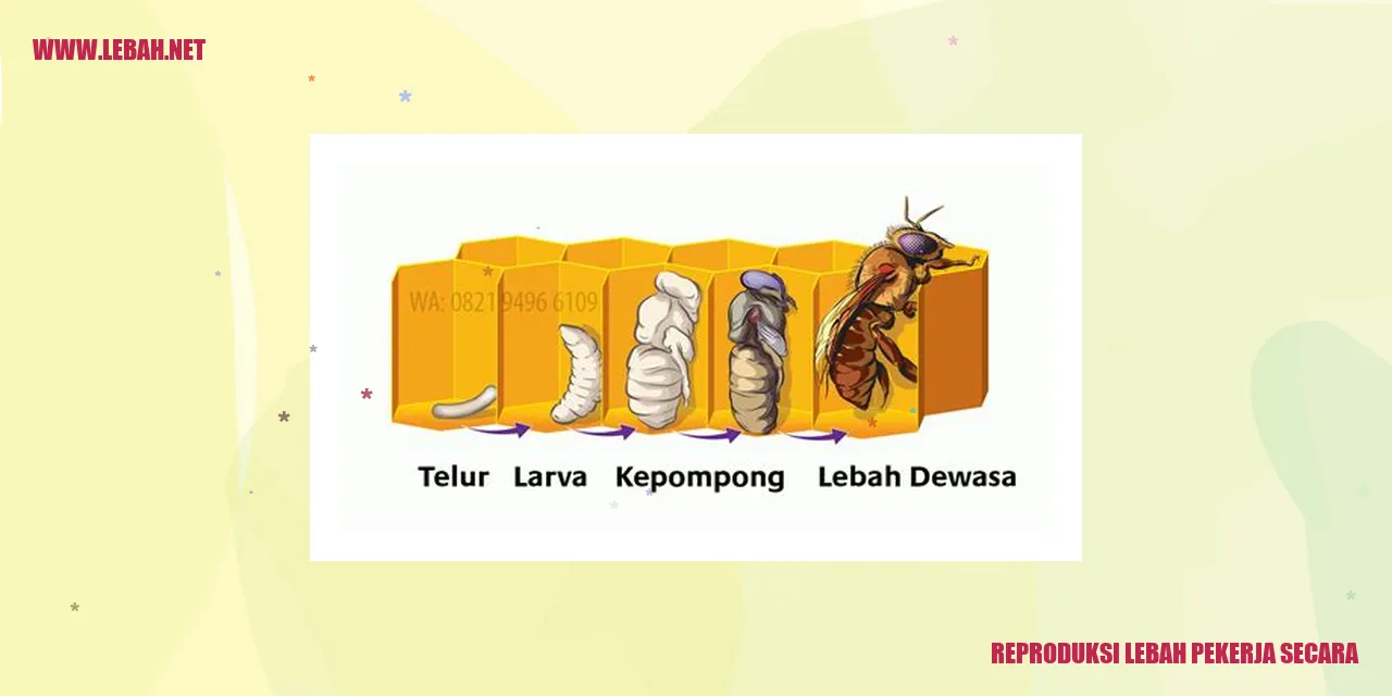 Reproduksi Lebah Pekerja Secara