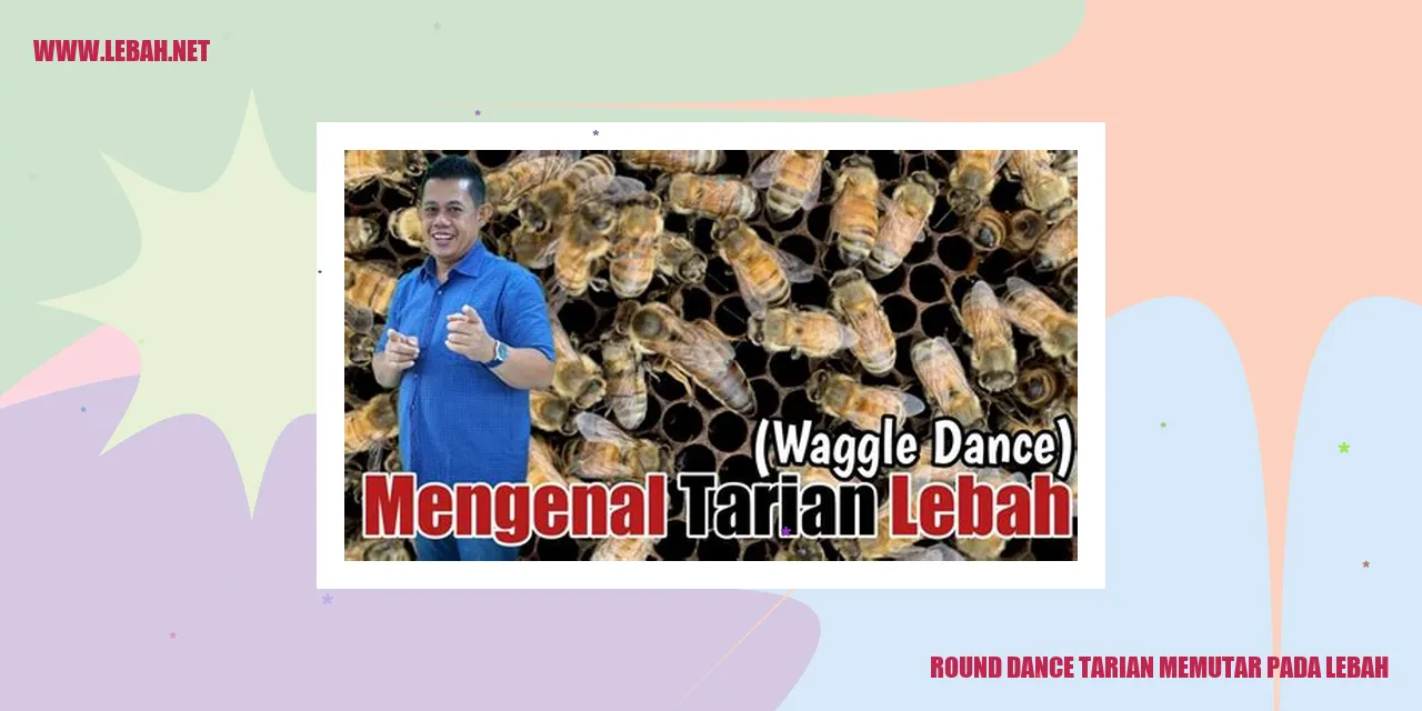 Round Dance Tarian Memutar pada Lebah