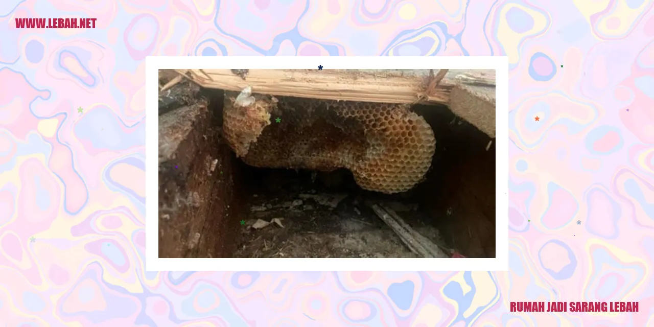 rumah jadi sarang lebah