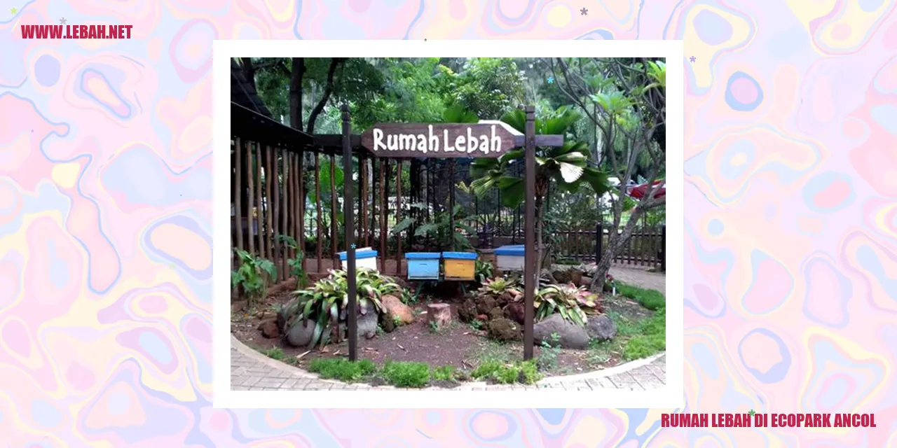rumah lebah di ecopark ancol