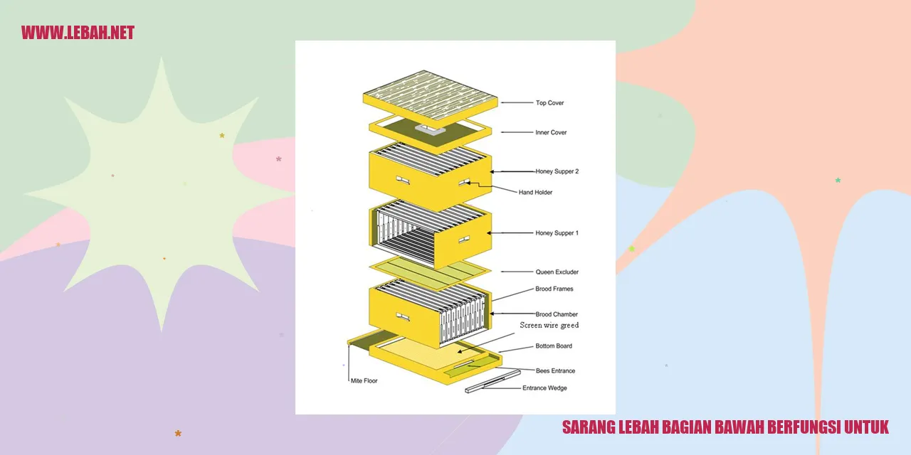 sarang lebah