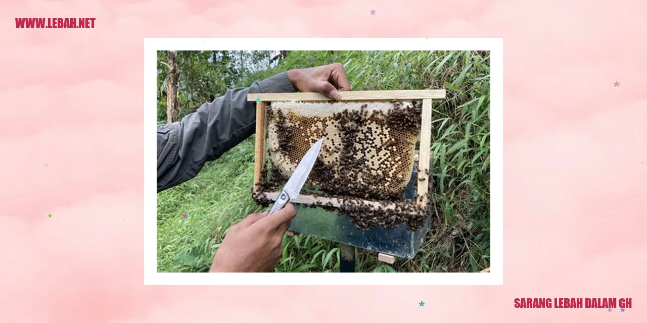 sarang lebah dalam gh