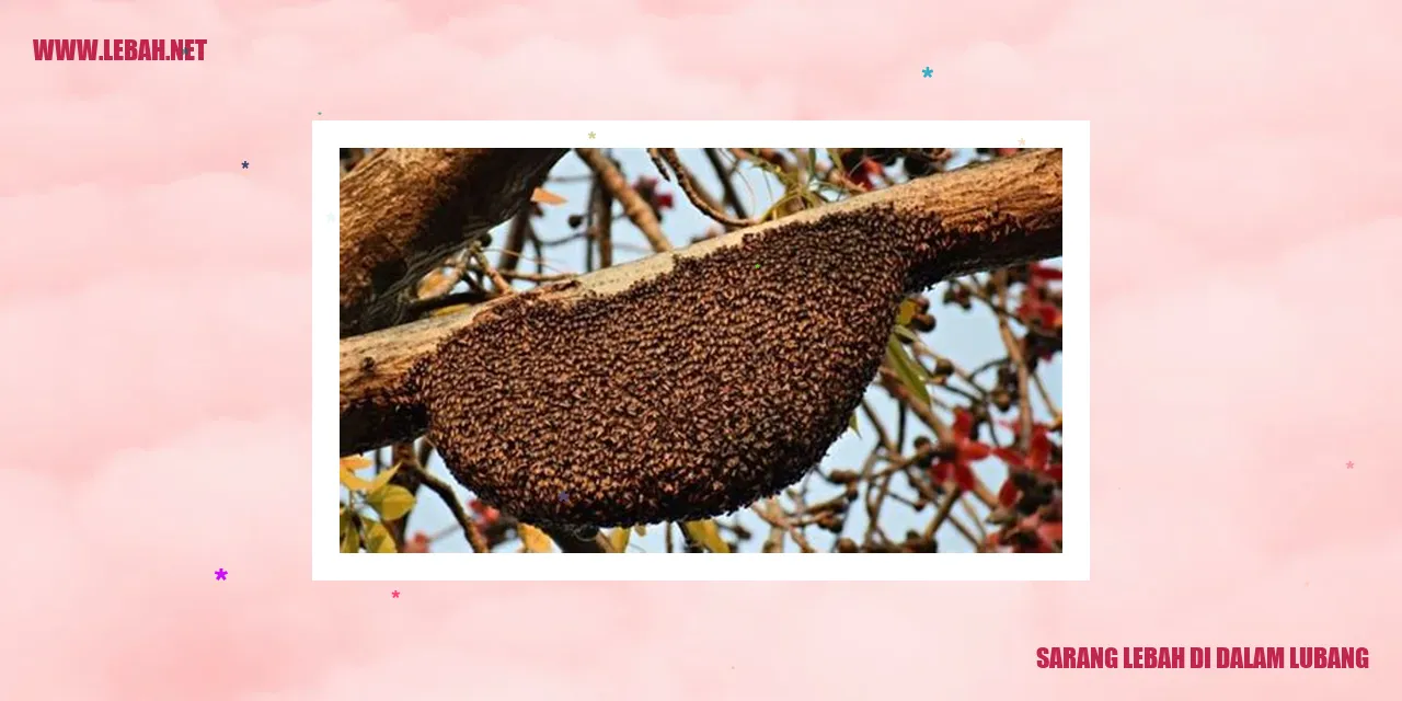 Gambar Sarang Lebah di Dalam Lubang