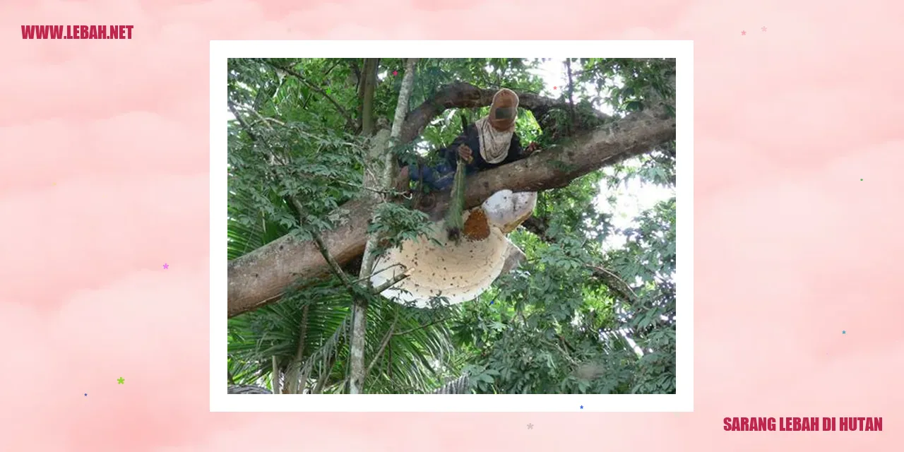 sarang lebah di hutan