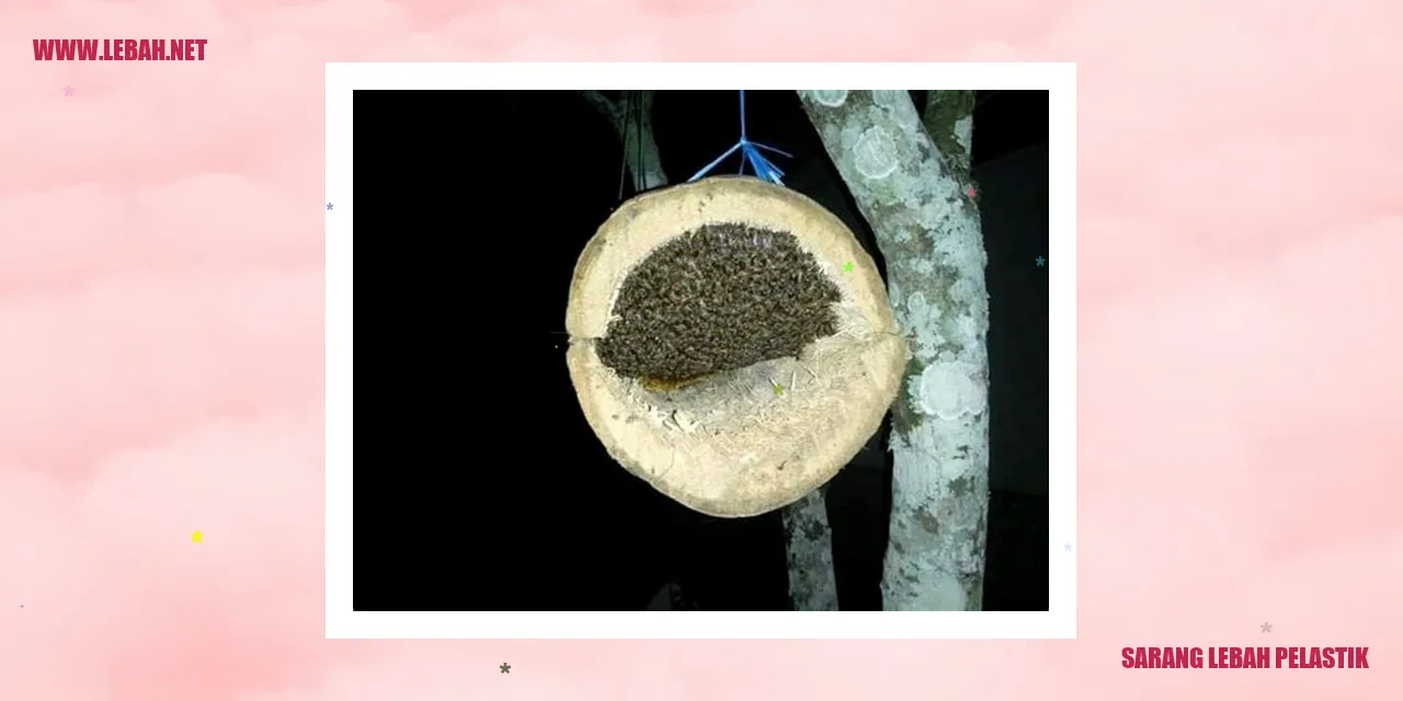 sarang lebah pelastik