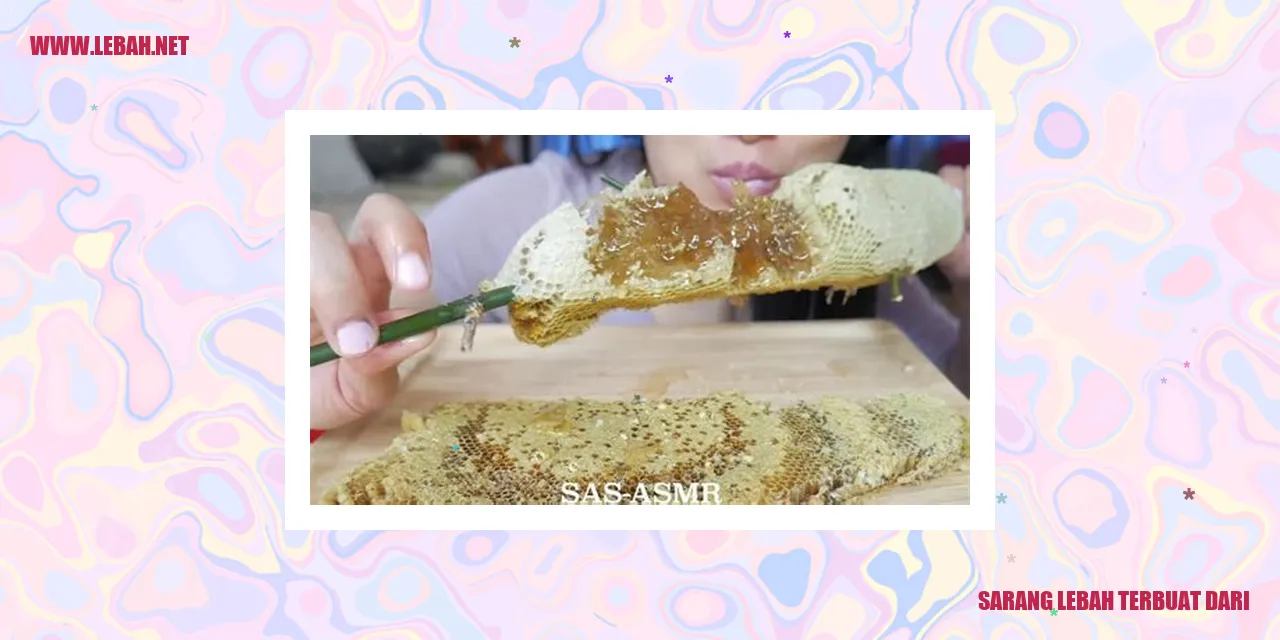 Sarang lebah terbuat dari