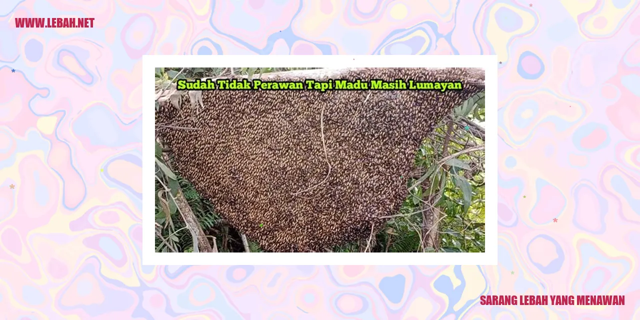 sarang lebah yang menawan