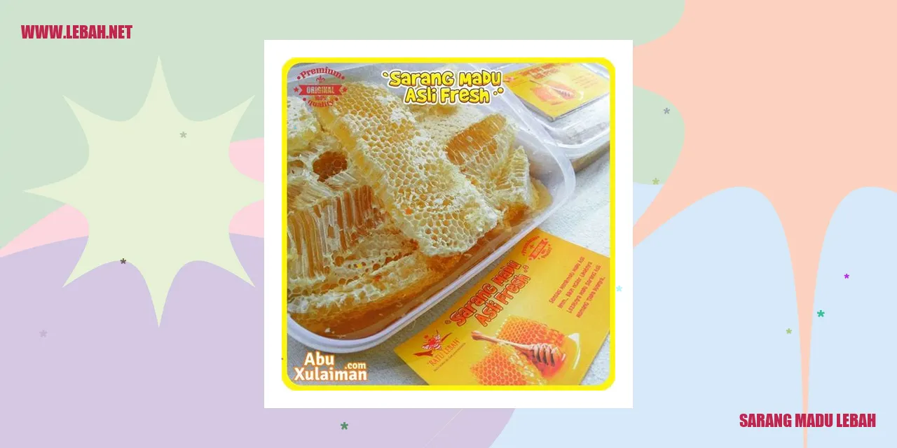 sarang madu lebah