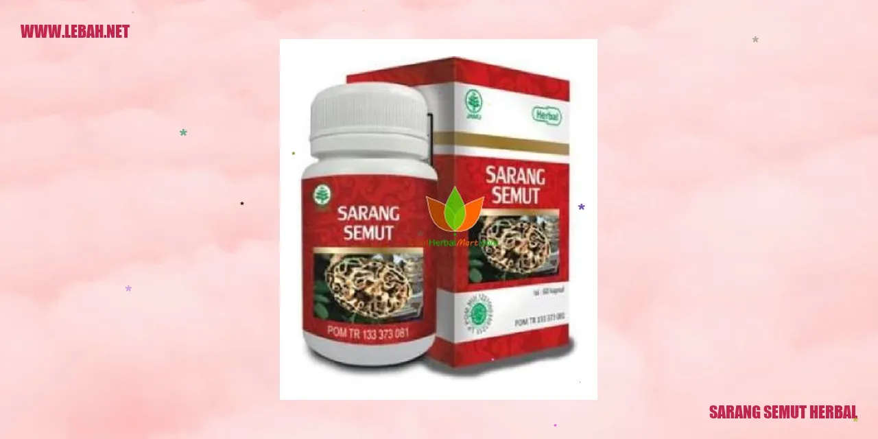 sarang semut herbal