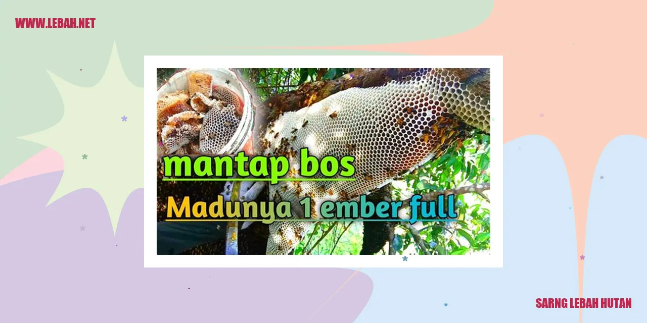 sarng lebah hutan