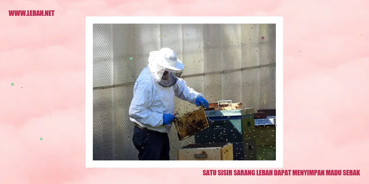 satu sisir sarang lebah dapat menyimpan madu sebak