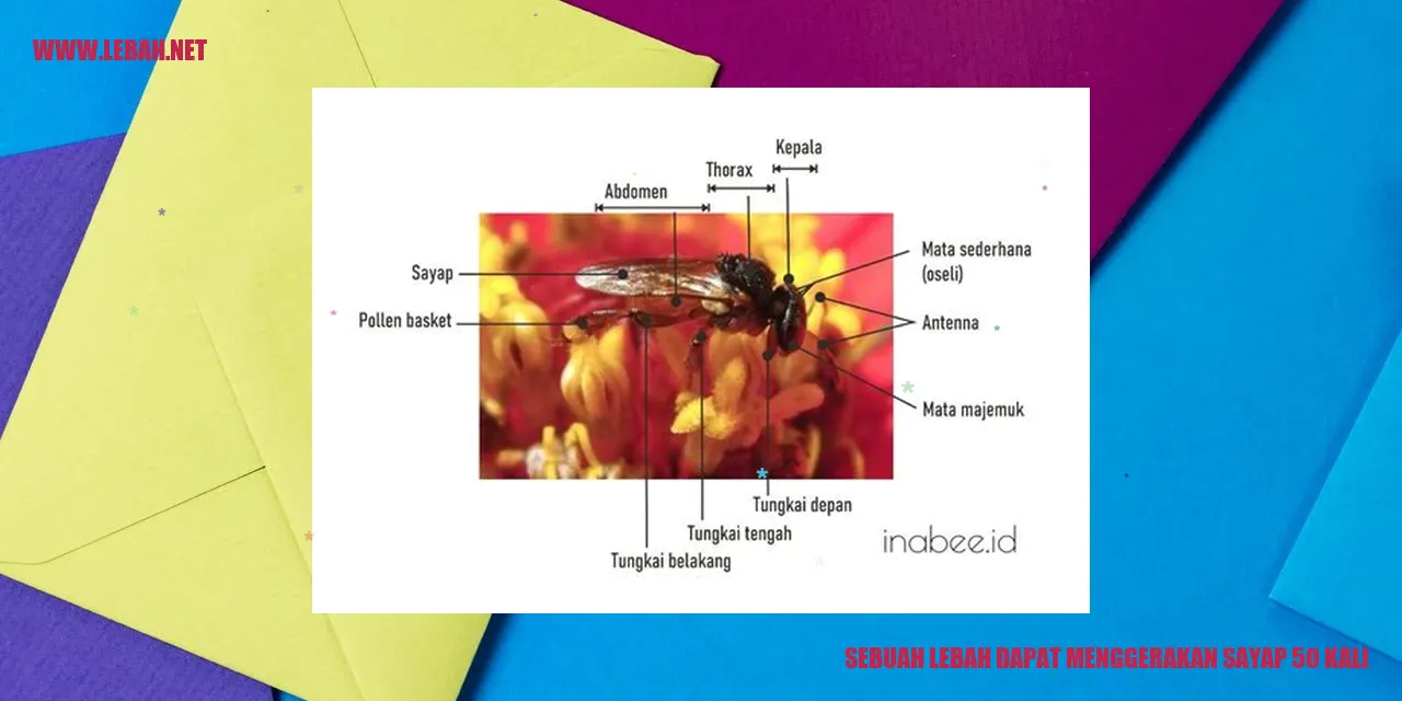 Sebuah lebah dapat menggerakan sayap 50 kali