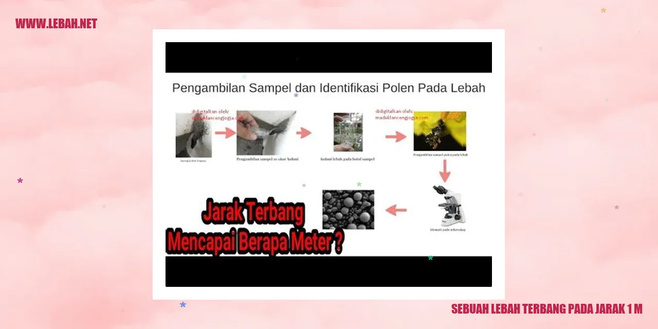 sebuah lebah terbang pada jarak 1 m