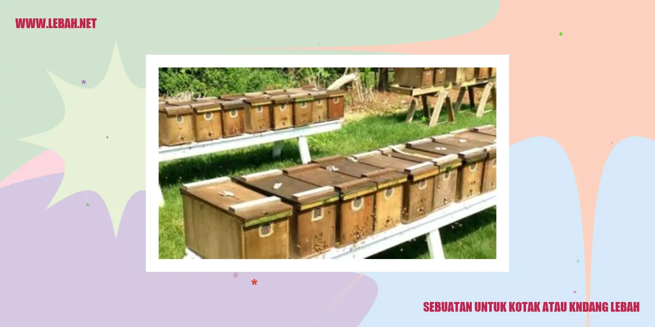 sebuatan untuk kotak atau kndang lebah