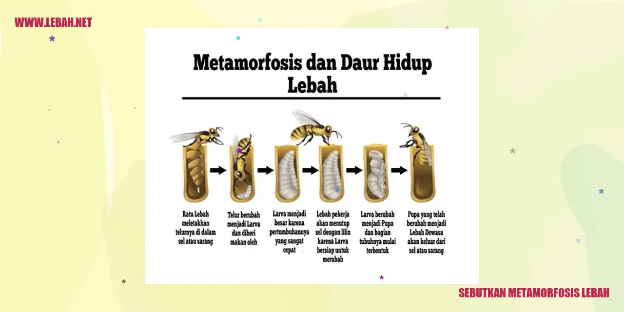 lebah