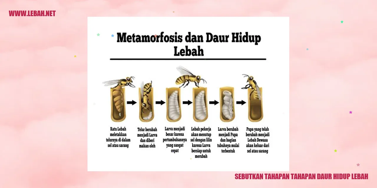 Gambar Telur Lebah