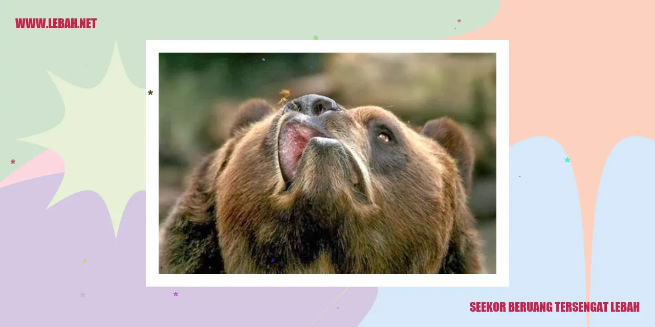 Beruang tersengat lebah