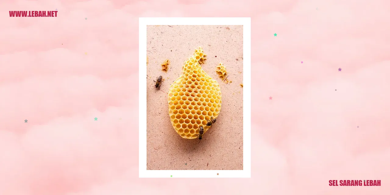 sel sarang lebah