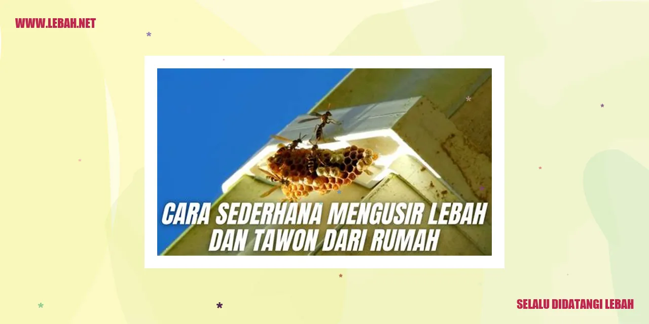 Lebah mengumpulkan nektar bunga
