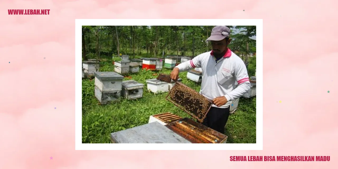 Semua Lebah Bisa Menghasilkan Madu