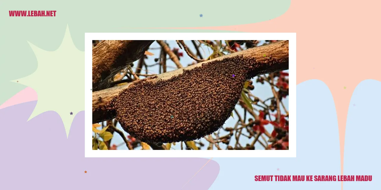 semut tidak mau ke sarang lebah madu