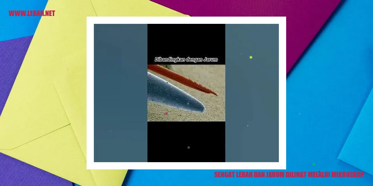 Sengat Lebah dan Jarum Dilihat Melalui Mikroskop