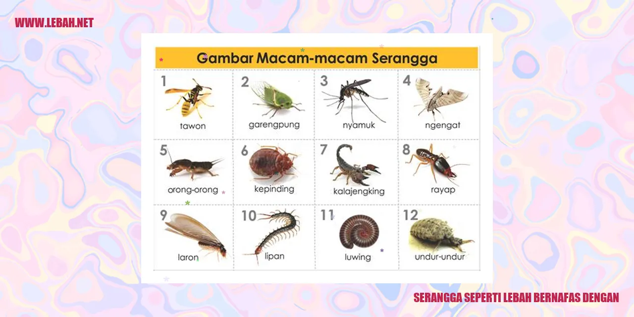 Serangga Seperti Lebah Bernafas dengan Anatomi