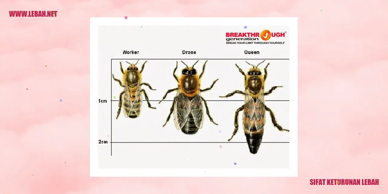 Gambar Lebah Pekerja