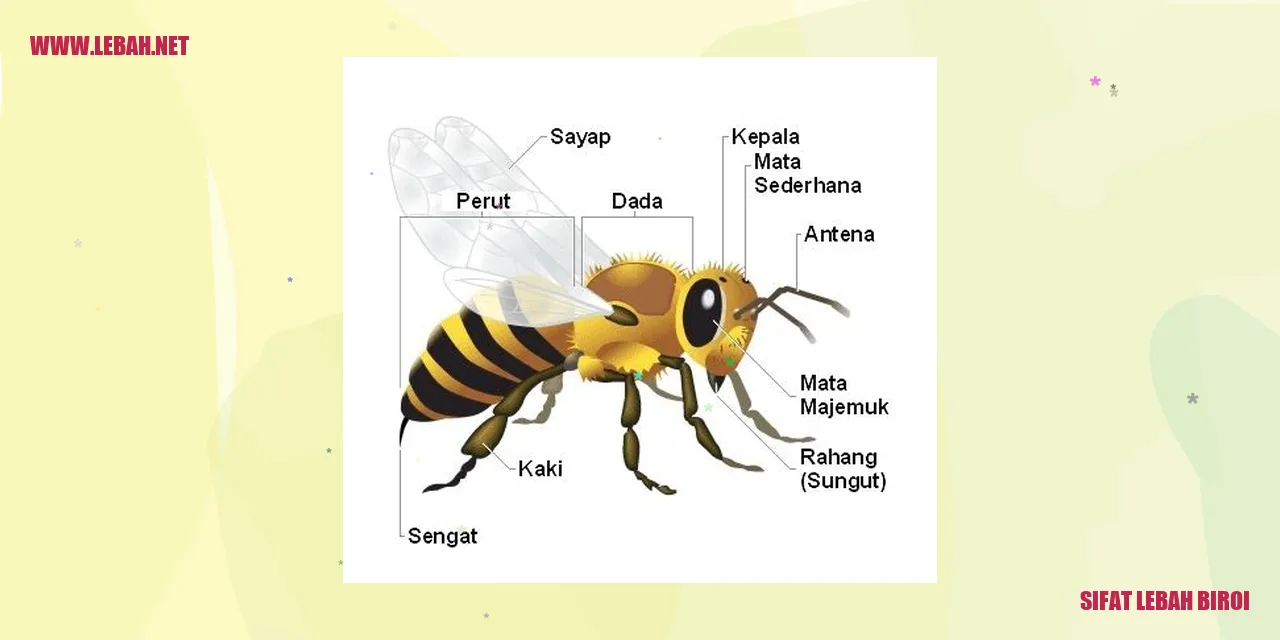 Gambar Sifat Lebah Biroi