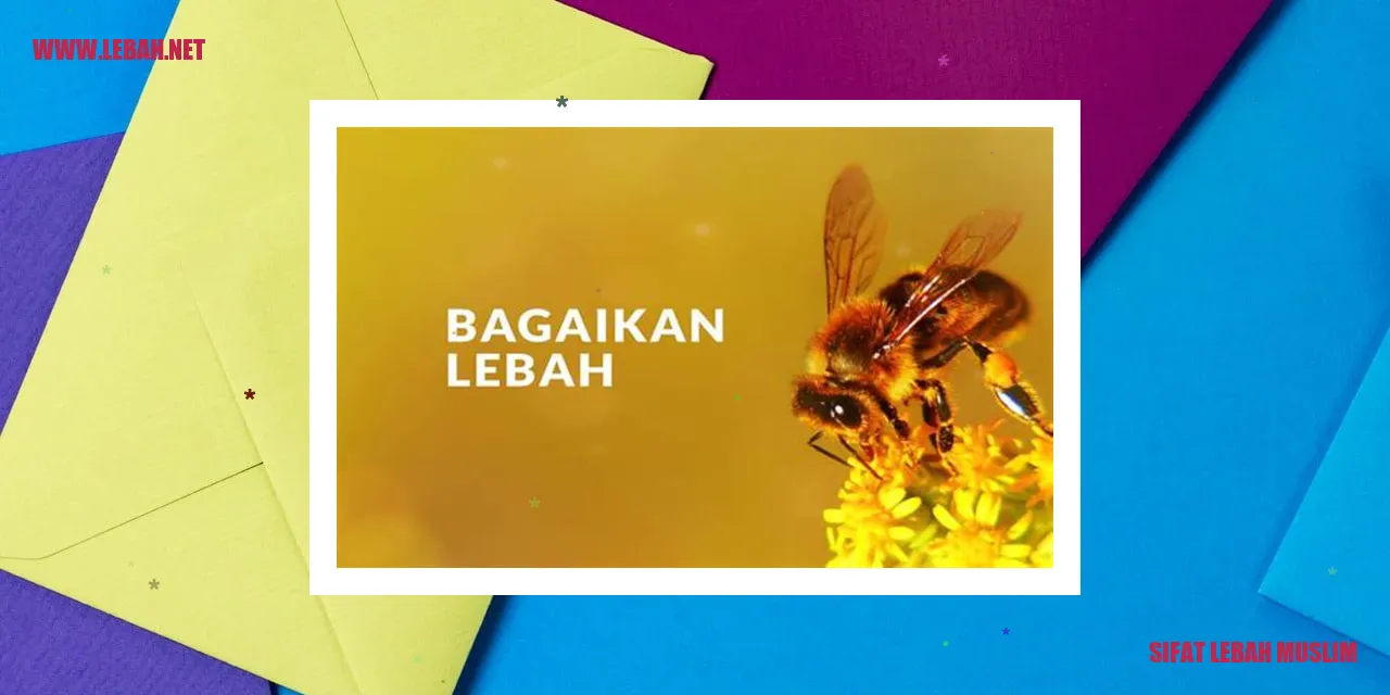 Lebah Muslim