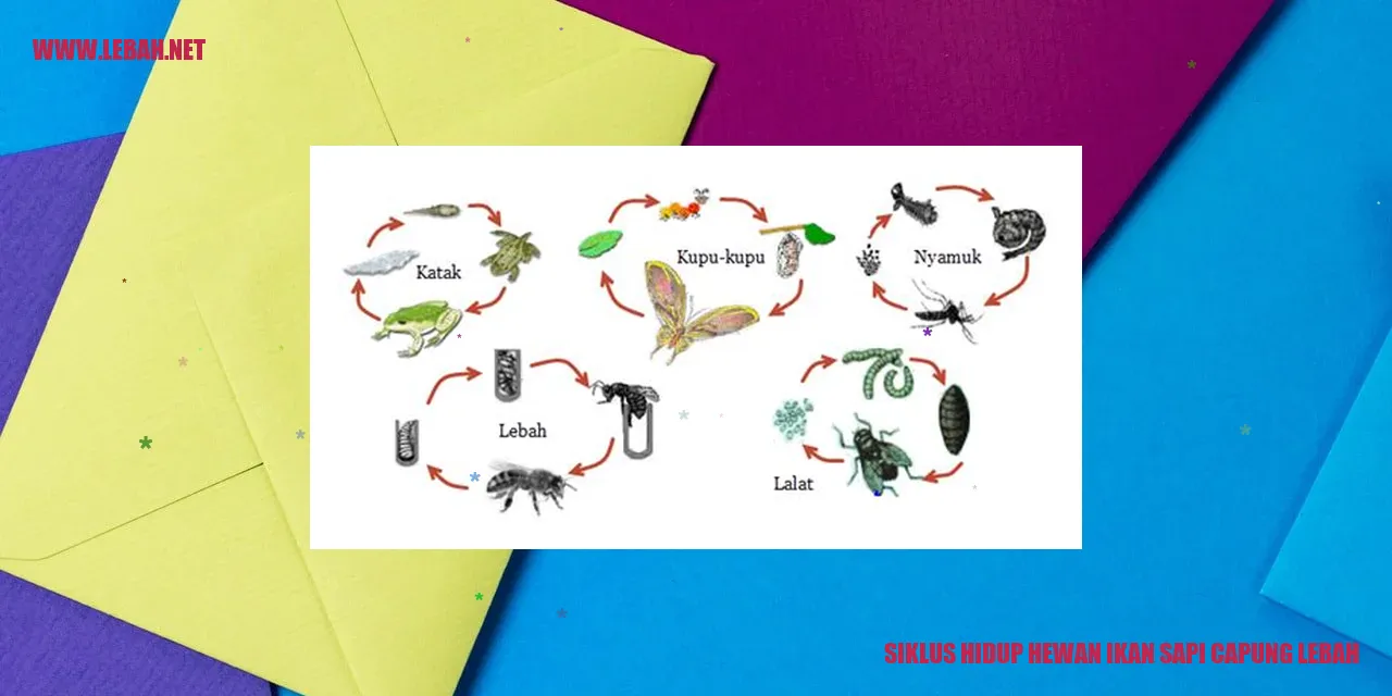siklus hidup hewan ikan sapi capung lebah