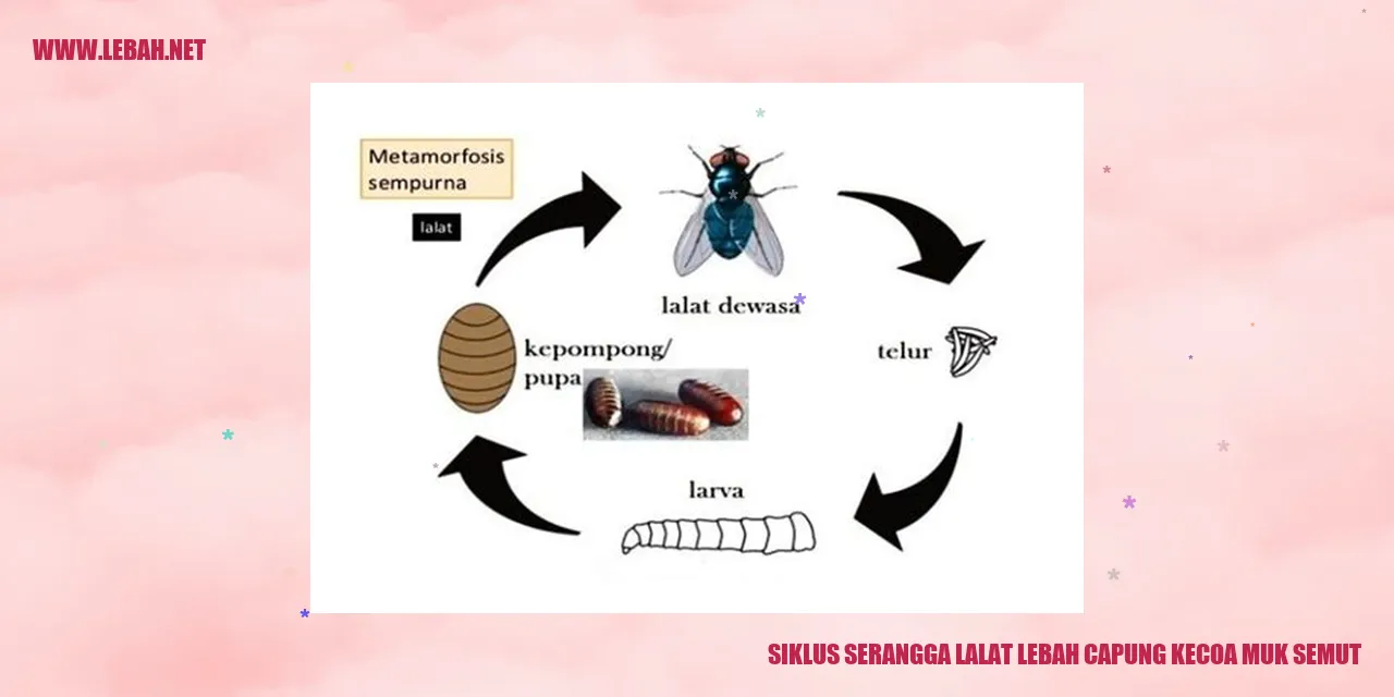 Siklus Serangga