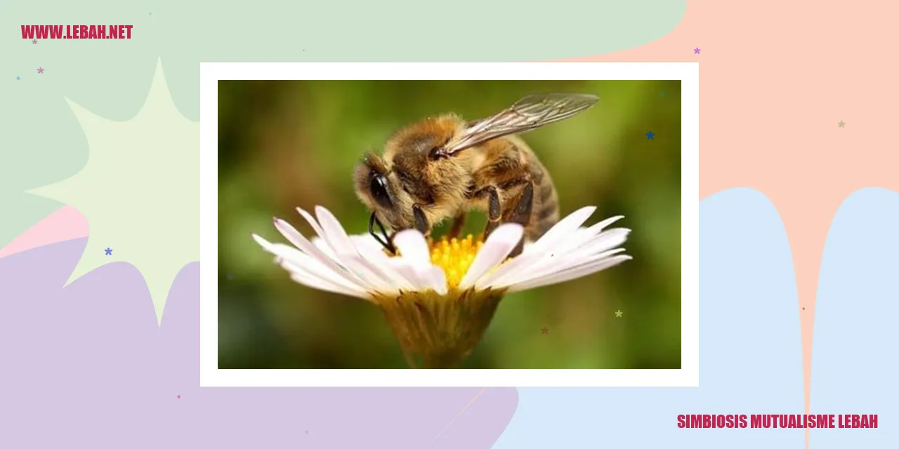 Gambar Simbiosis Mutualisme Lebah