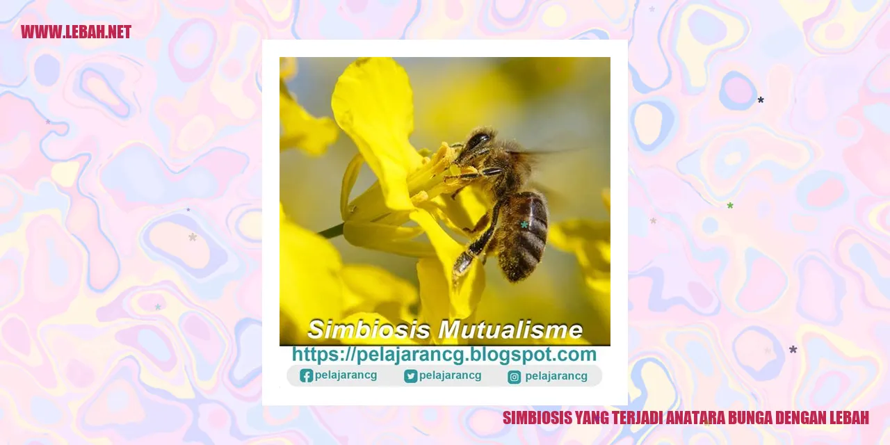 simbiosis bunga dan lebah