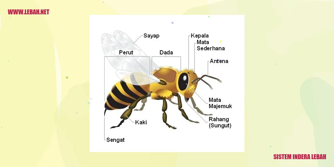 Gambar Lebah