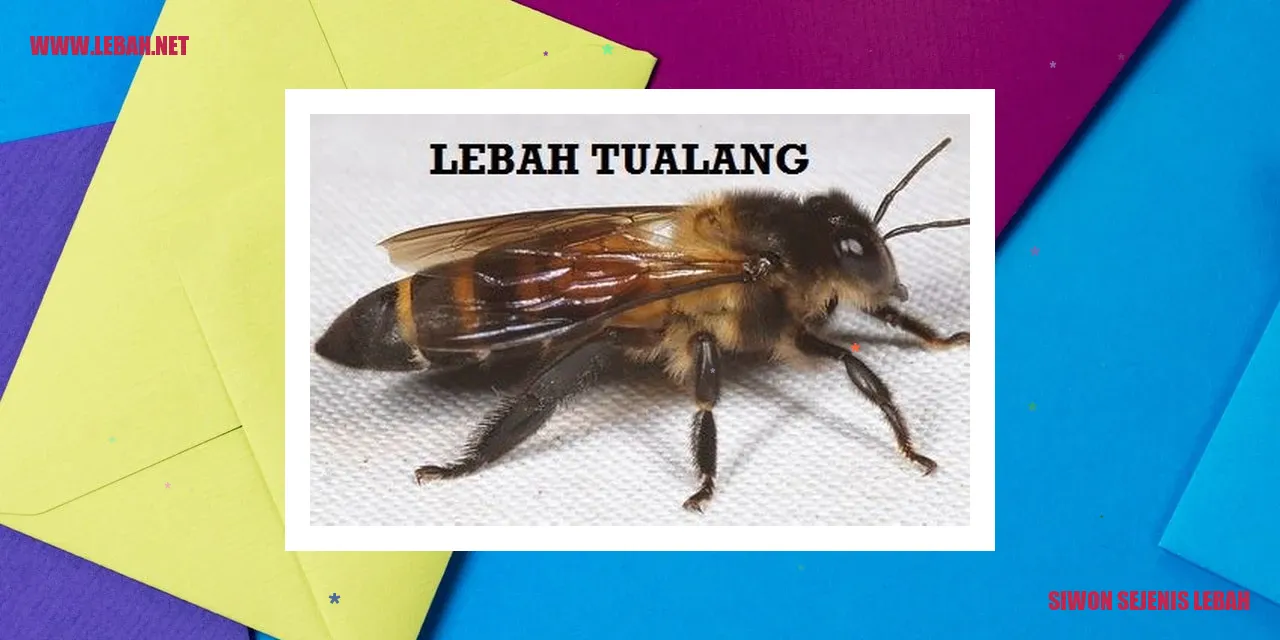 Siwon Sejenis Lebah